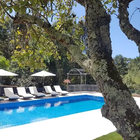 Amazing 6 Bedrooms Castello Private Pool Large Garden North Portugal Villa *
