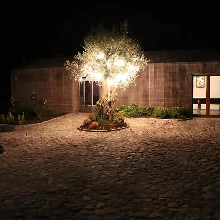 Amazing 6 Bedrooms Castello Private Pool Large Garden North Portugal Villa