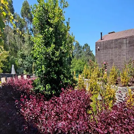 Amazing 6 Bedrooms Castello Private Pool Large Garden North Portugal *