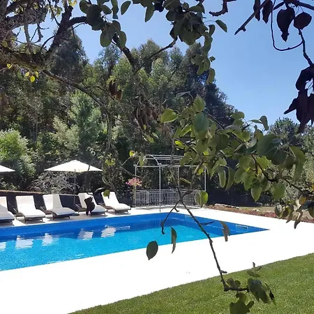 Amazing 6 Bedrooms Castello Private Pool Large Garden North Portugal Viana do Castelo
