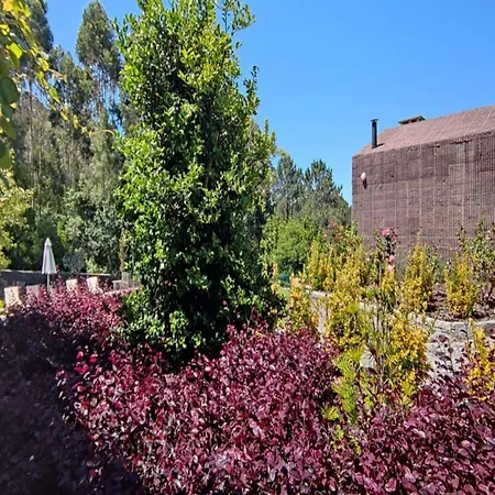 Amazing 6 Bedrooms Castello Private Pool&large Garden North Portugal * Viana do Castelo